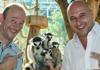 Zoo Zoo