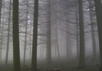 Wege+aus+der+Depression