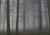 Wege aus der Depression