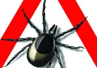 Zeit+der+Zecken