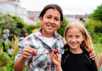 babyexpressgourmetsommercamp-essen babyexpressgourmetsommercamp-essen
