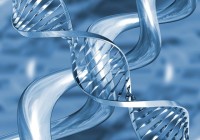 DNA DNA
